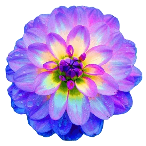 Sticker CvevovNeNado - 1