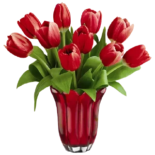 Стикер Flowers for you @stickersb2b - 7