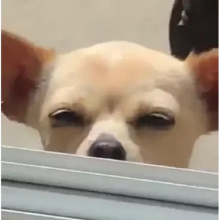 Sticker Свои - 3