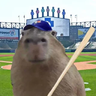 Стикер CapyBara - 4