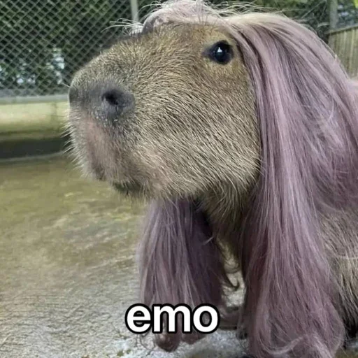 Sticker CvpyBvrv - 1