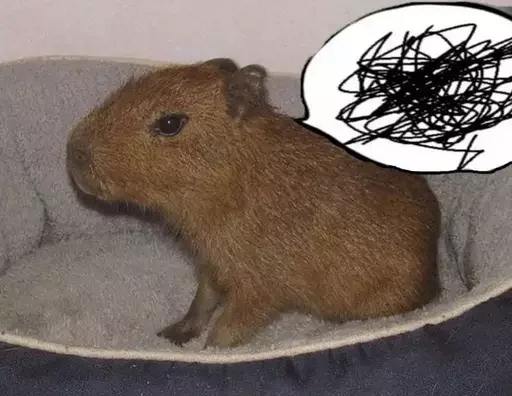 Стикер CapyBara - 1