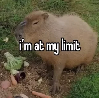 Стикер CapyBara - 7