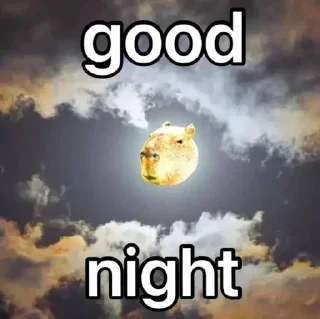 Стикер CapyBara - 8