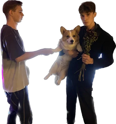 Sticker Cvv0_001 - 1