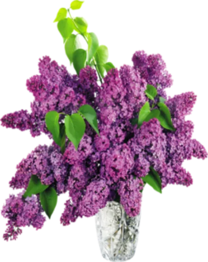 Стикер Cwety2 - 1