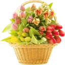 Стикер Цветы 2 @StikerDi - 2