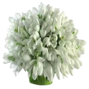 Стикер Цветы 2 @StikerDi - 5