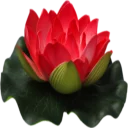 Стикер Цветы 2 @StikerDi - 3