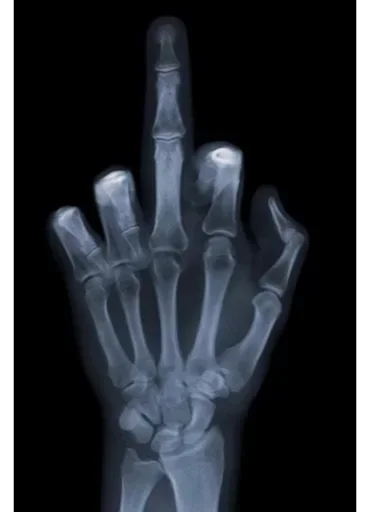 Стикер CwzUTIemE_by_stickers_stealer_bot - 1