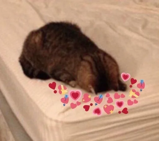 osamu.👩‍❤️‍💋‍👩 :: @fStikBot - эскиз