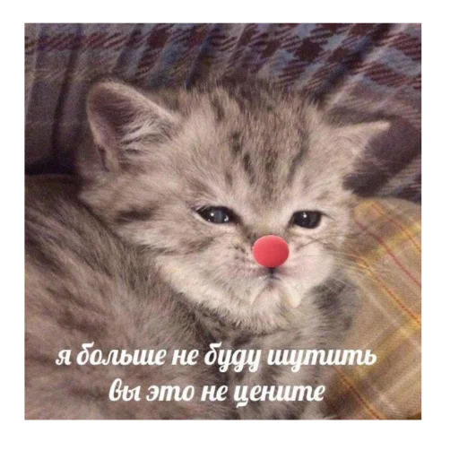 Стикер CykaHaxyu - 1