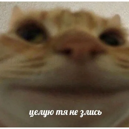 Стикер CykaHaxyu - 1