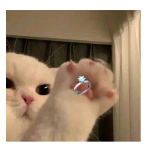 Sticker CykaHaxyu - 1