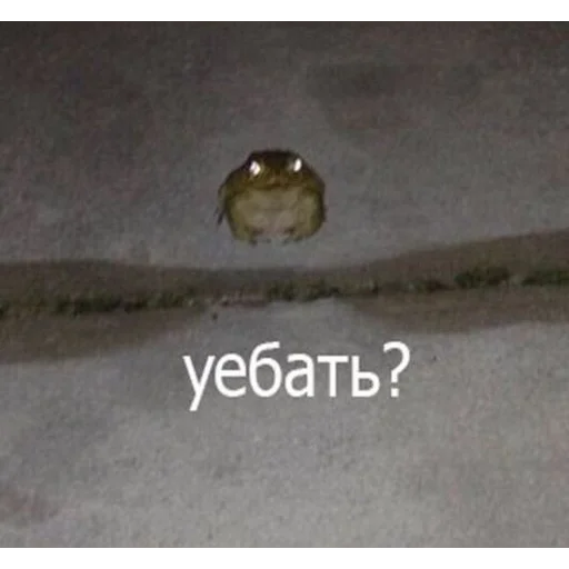 Sticker CykaHaxyu - 1