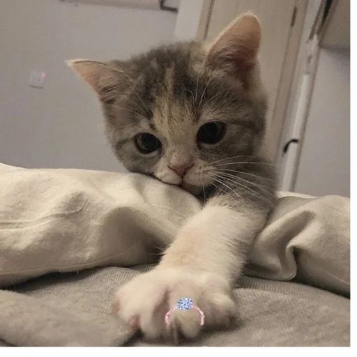 Sticker CykaHaxyu - 1