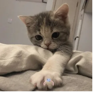 Sticker торчки - 0