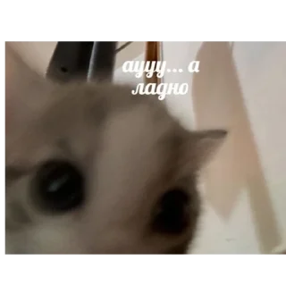 Sticker торчки - 8