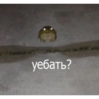 Sticker торчки - 2