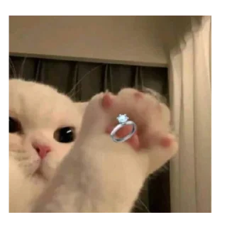 Sticker торчки - 5