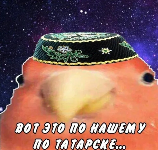 СМС плакат искусство