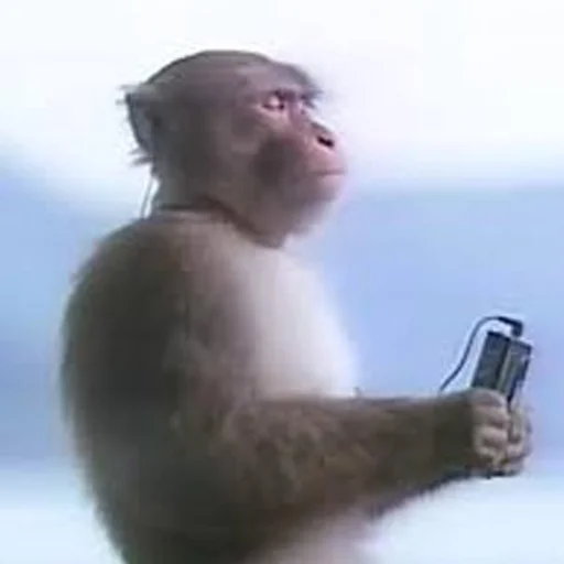 Человек обезьяний