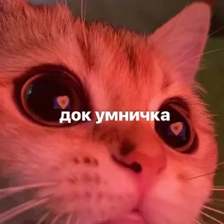 Sticker Создать стикеры|@EmojiRuBot - 9