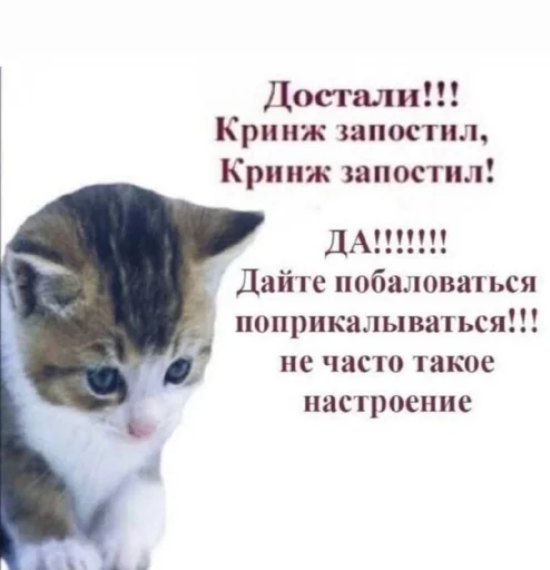 Создать стикеры|@EmojiRuBot - 