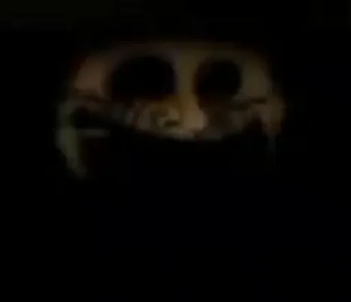 череп чёрный кость