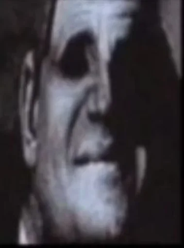 человеческое лицо портрет челюсть