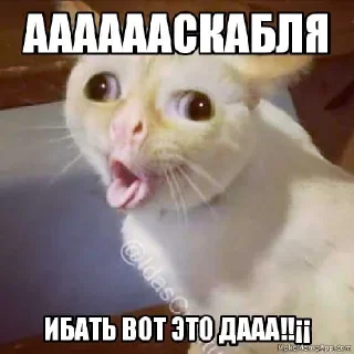 Sticker @DARKNET_SETKA - 8