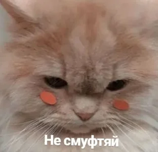 Sticker Стикеры тут: @stikeryv - 6