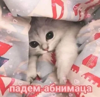 Sticker Стикеры тут: @stikeryv - 2