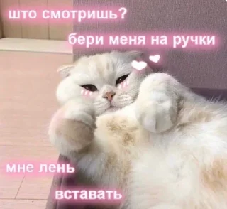 Sticker Стикеры тут: @stikeryv - 0