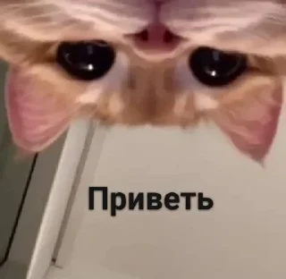 Sticker Стикеры тут: @stikeryv - 1