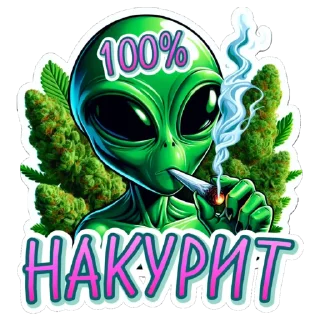 Sticker Заказать стикеры - @dd_mananger - 9