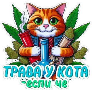 Sticker Заказать стикеры - @dd_mananger - 5