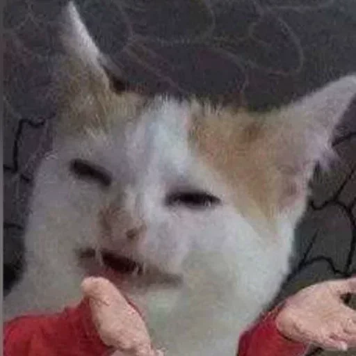 SOL鏈深度玩家 區塊幫 @CryptoZHOU - 