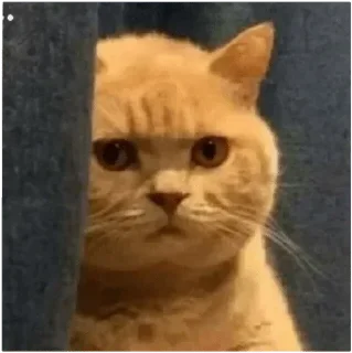 Стикер SOL鏈深度玩家 區塊幫 @CryptoZHOU - 0