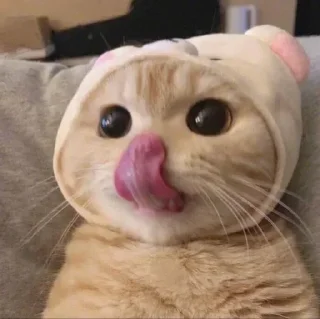 Стикер SOL鏈深度玩家 區塊幫 @CryptoZHOU - 9