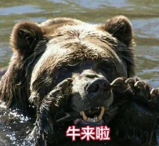 Стикер SOL鏈深度玩家 區塊幫 @CryptoZHOU - 1