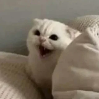 Стикер SOL鏈深度玩家 區塊幫 @CryptoZHOU - 11