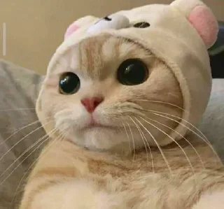 Стикер SOL鏈深度玩家 區塊幫 @CryptoZHOU - 6