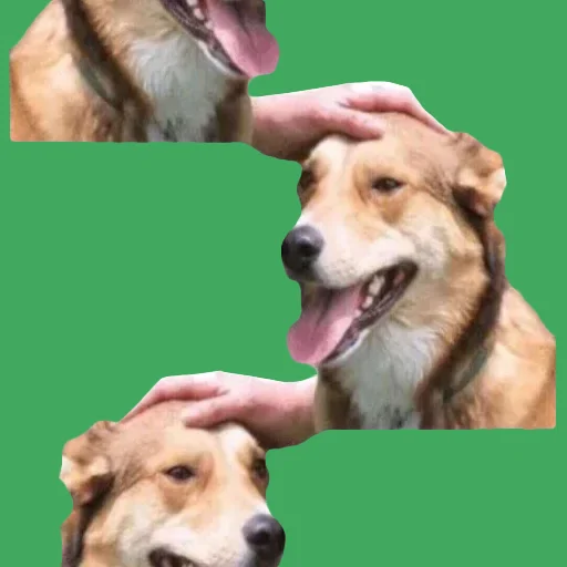 Стикер DDDoges - 10