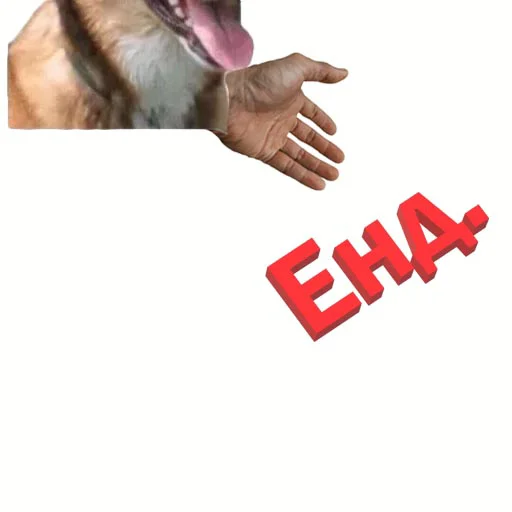 Стикер DDDoges - 9