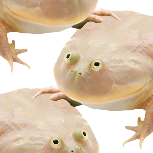 Стикер DDDoges - 4