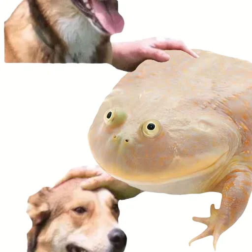 Стикер DDDoges - 1