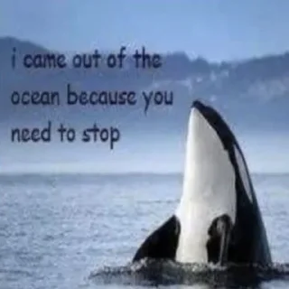 Стикер DDFavorites - 3