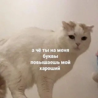 Стикер DDFavorites - 10