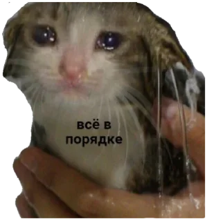 Стикер DDFavorites - 11